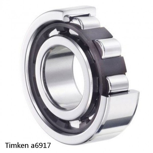 a6917 Timken Cylindrical Roller Radial Bearing