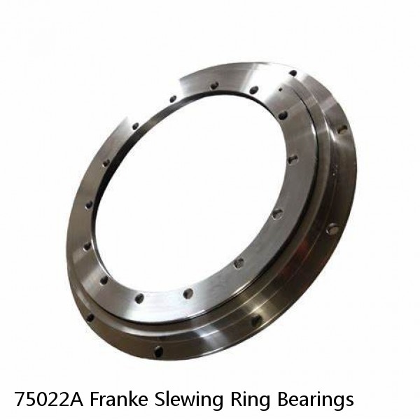 75022A Franke Slewing Ring Bearings