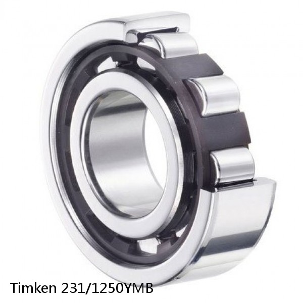 231/1250YMB Timken Cylindrical Roller Radial Bearing
