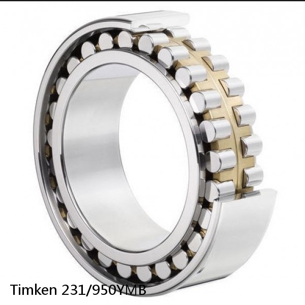 231/950YMB Timken Cylindrical Roller Radial Bearing