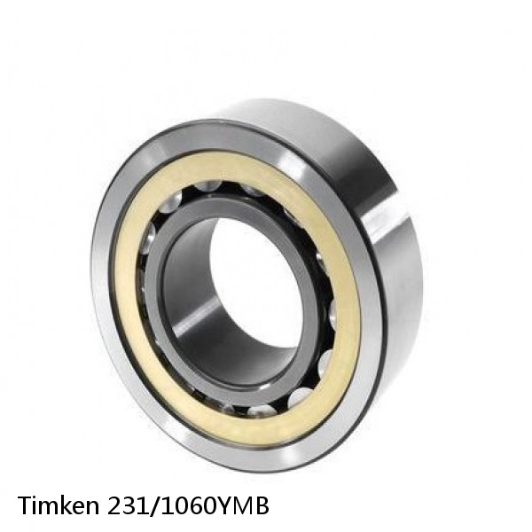 231/1060YMB Timken Cylindrical Roller Radial Bearing