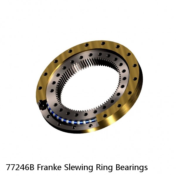 77246B Franke Slewing Ring Bearings