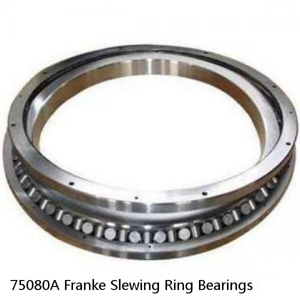 75080A Franke Slewing Ring Bearings