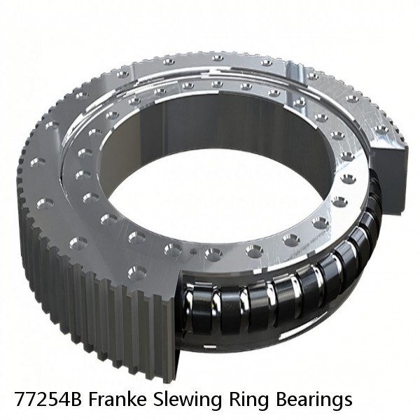 77254B Franke Slewing Ring Bearings