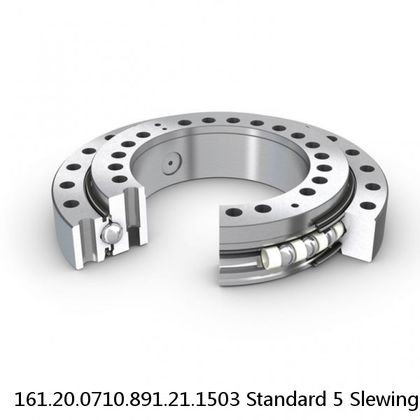 161.20.0710.891.21.1503 Standard 5 Slewing Ring Bearings
