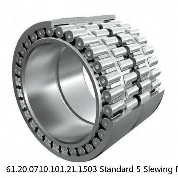 61.20.0710.101.21.1503 Standard 5 Slewing Ring Bearings