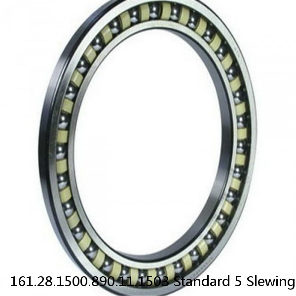 161.28.1500.890.11.1503 Standard 5 Slewing Ring Bearings