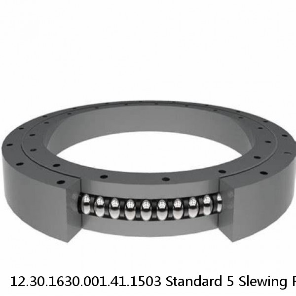 12.30.1630.001.41.1503 Standard 5 Slewing Ring Bearings