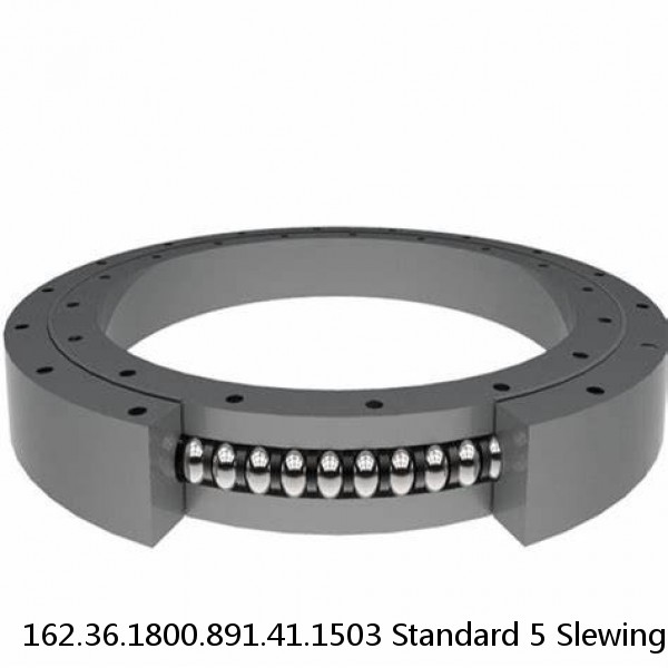 162.36.1800.891.41.1503 Standard 5 Slewing Ring Bearings