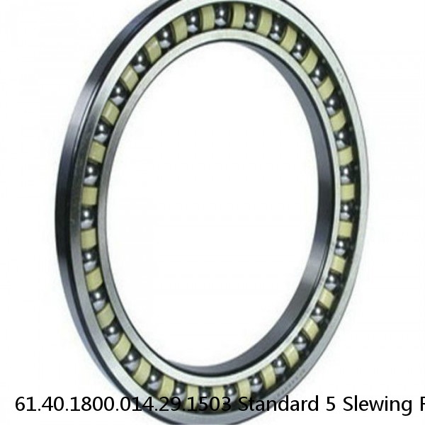 61.40.1800.014.29.1503 Standard 5 Slewing Ring Bearings
