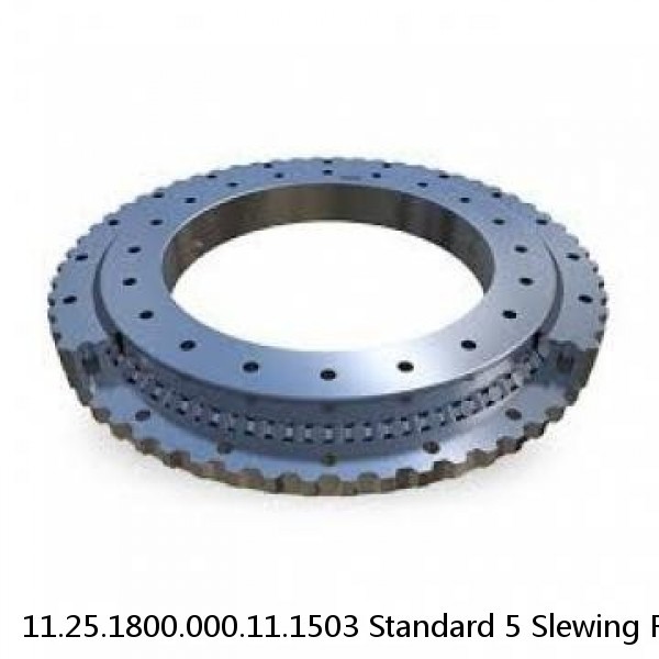 11.25.1800.000.11.1503 Standard 5 Slewing Ring Bearings