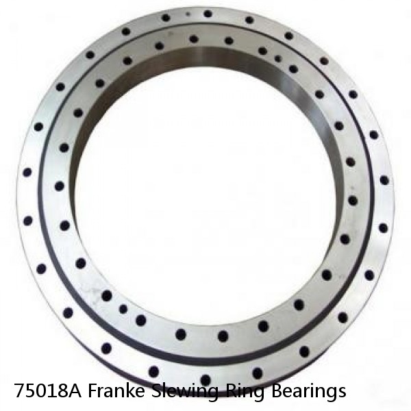 75018A Franke Slewing Ring Bearings