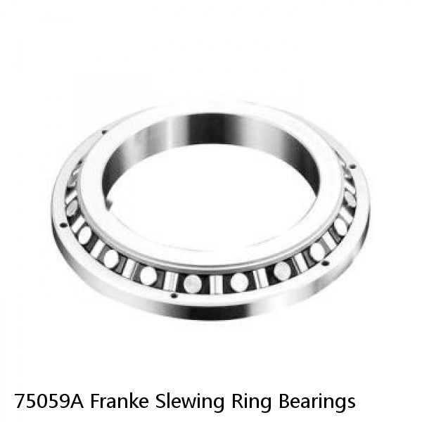 75059A Franke Slewing Ring Bearings