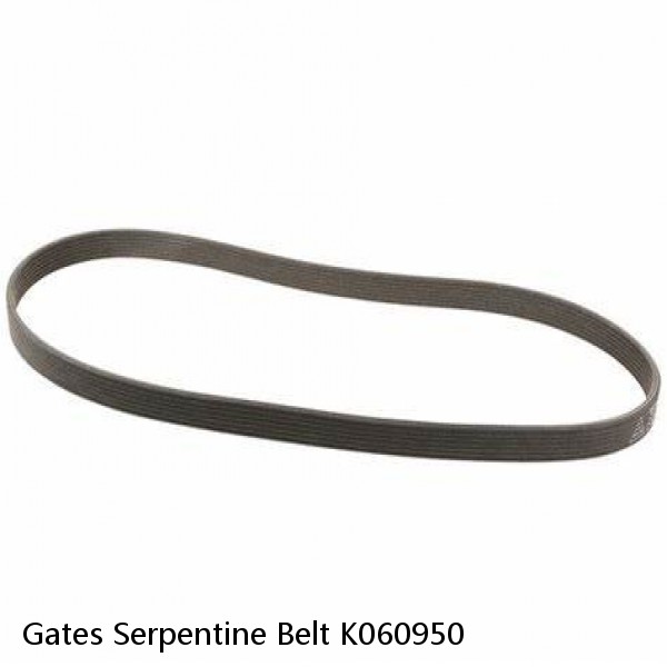 Gates Serpentine Belt K060950